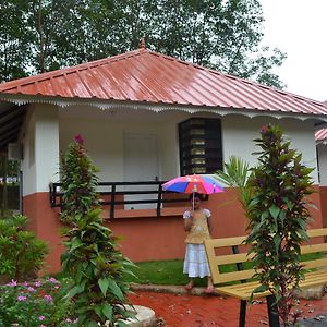 Deluxe Single Room Balcony